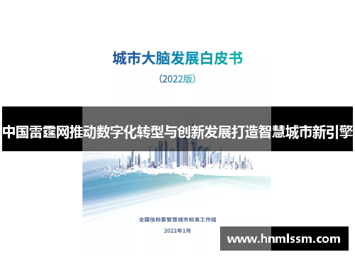 中国雷霆网推动数字化转型与创新发展打造智慧城市新引擎